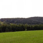Rehberg