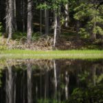 Spiegelungen an allen Seiten