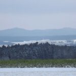 Die beiden kenne ich sehr gut