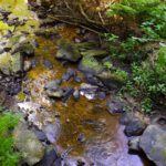 Das Bacherl daneben plätschert etwas leiser vor sich hin