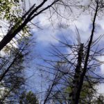 So darf es weitergehen So darf es weitergehen