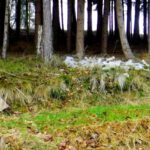 Was soll der Blödsinn?!?