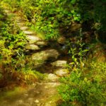 Bachquerung im harmlosen Teil