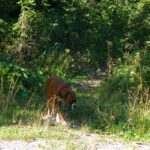 Da wollten wir eigentlich beim Aufstieg rauskommen