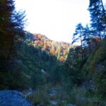 Shadows and lights...