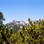 Erster Blick auf den Weitschartenkopf, der von hier ganz anders aussieht als aus dem Saalachtal