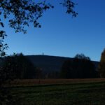 Schneebergturm mit Blätterdach