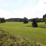 Sanfte Wiesen am Dmout