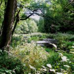 Die Landkreisgrenze Schwandorf / Neustadt an der Waldnaab verläuft mitten über die kleine Insel