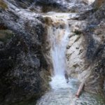 Ab und zu verfängt sich auch Treibholz in den Pools