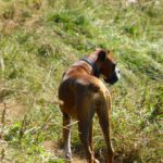 Was ist da unten los?