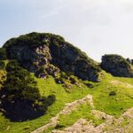 Gupfe dieser Sorte gibts am Nordhang mehrere