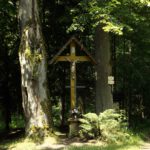 Linden am Dorfplatz von Reichenthal / Hraničky