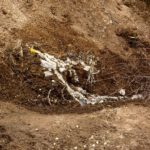 Kein übermäßig gesundheitsfördernder Ausfluss