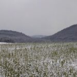 Durchblick durchs Aschatal