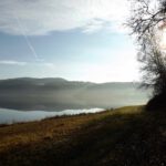 Gegenlichtversuche dürfen natürlich nicht fehlen