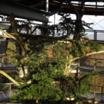 Innenleben des Aussichtsturms