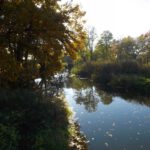 Gegenlichtspiegelung