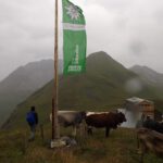 Mittlerweise goss es aus Kübeln