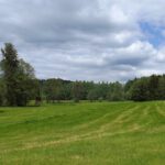 Zwischen Grenzbach und Schwarzach