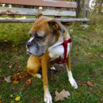 Gelangweilte Gipfelstürmerin