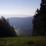 Ehemalige Skipiste nach Stadlern Ehemalige Skipiste nach Stadlern