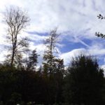 Die Wolken reißen auf