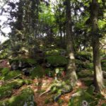 Das soll ein Klettersteig sein? Das soll ein Klettersteig sein?