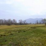 So trocken wie es aussieht ist es auch fast So trocken wie es aussieht ist es auch fast