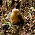 Hallo ihr Lieben, mag mich denn niemand beachten?