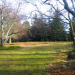 Gipfelplateau des Altkönig