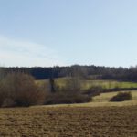 Bayerische Fluren und Haine