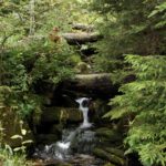 Schreyerbach Schreyerbach