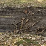 Versuch einer Querungshilfe