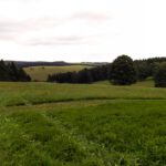 Schweinsberg (Kňourek)