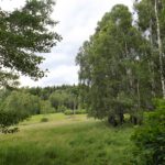 Wiesen bei Perlovice Wiesen bei Perlovice