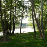 Schattiger Teichzugang