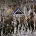 Das Bruthäuschen wird von den Enten angenommen