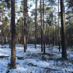 Der „Gipfel“, laut Karte heißt er Dachsberg