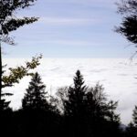 Aussicht auf Plattling