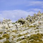 Klein-Lhasa Klein-Lhasa