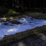 Ahja, es hat in diesem Winter doch irgendwann einmal geschneit