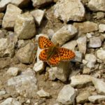 Herzlichen Dank fürs Warten!