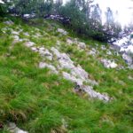 Von dieser Qualität gab es mehrere Stellen