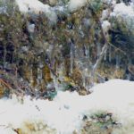 Diese Perle wurde von Karl beim Hochschnaufen übersehen