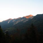 Schattiges Fischbachtal