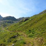 Ein bisserl geht noch