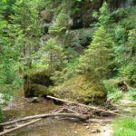 Mein Brotzeitplatz Mein Brotzeitplatz