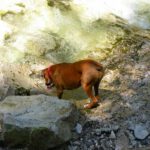 Erfrischend....aber ganz spring ich immer noch nicht rein!