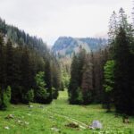 Hier kommt man runter, wenn man die Kleine Reibn geht